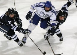 中国体彩网|欧冠淘汰赛巅峰对决，巴黎圣日耳曼与拜仁慕尼黑狭路相逢，利物浦同皇家马德里再演经典