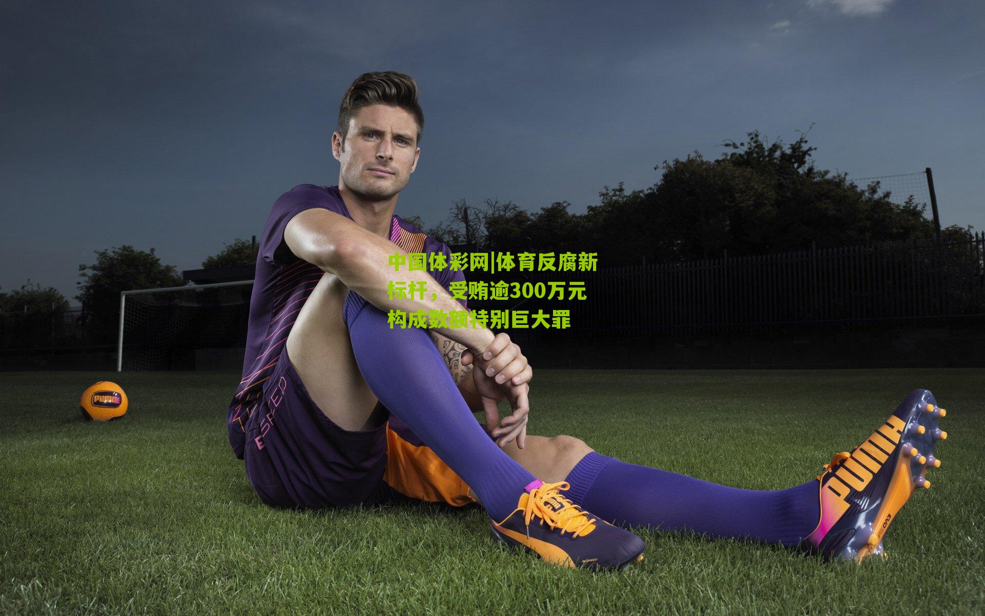 体育反腐新标杆，受贿逾300万元构成数额特别巨大罪