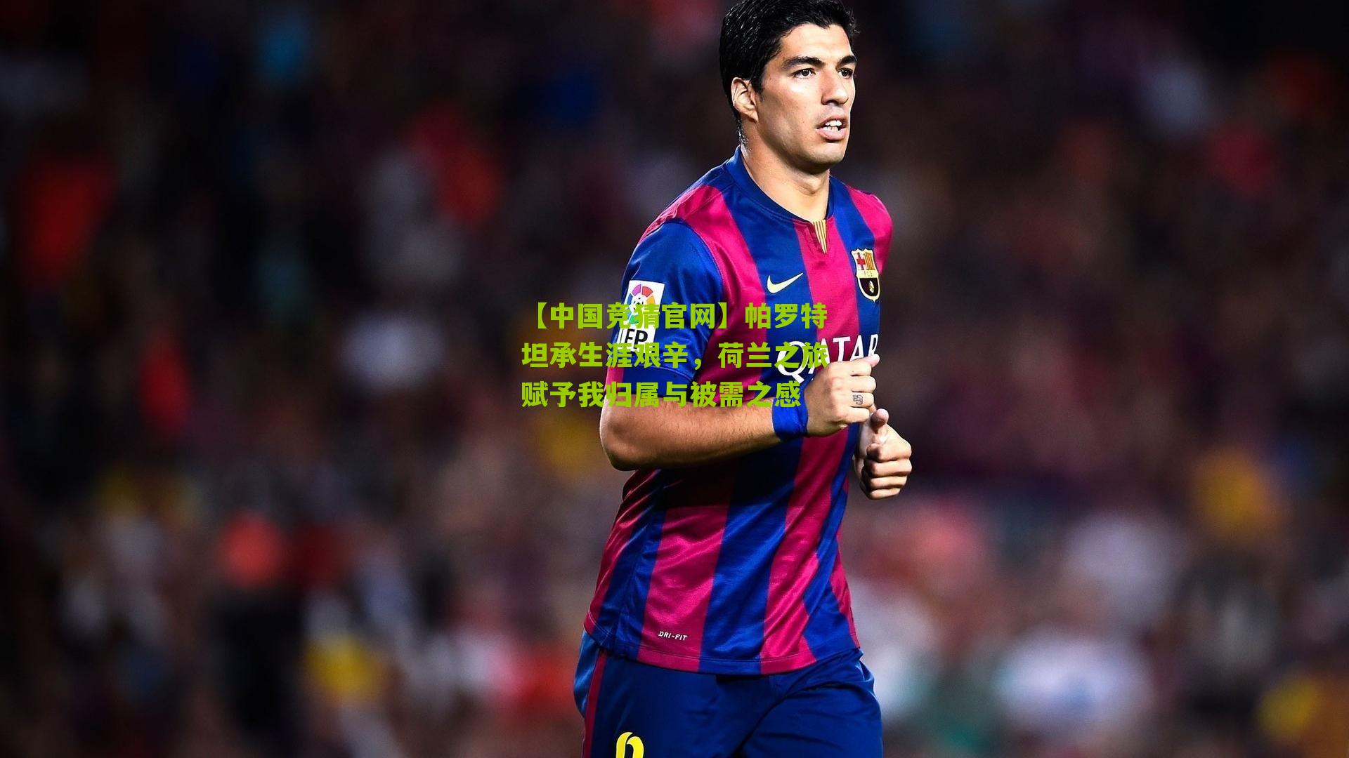 帕罗特坦承生涯艰辛，荷兰之旅赋予我归属与被需之感